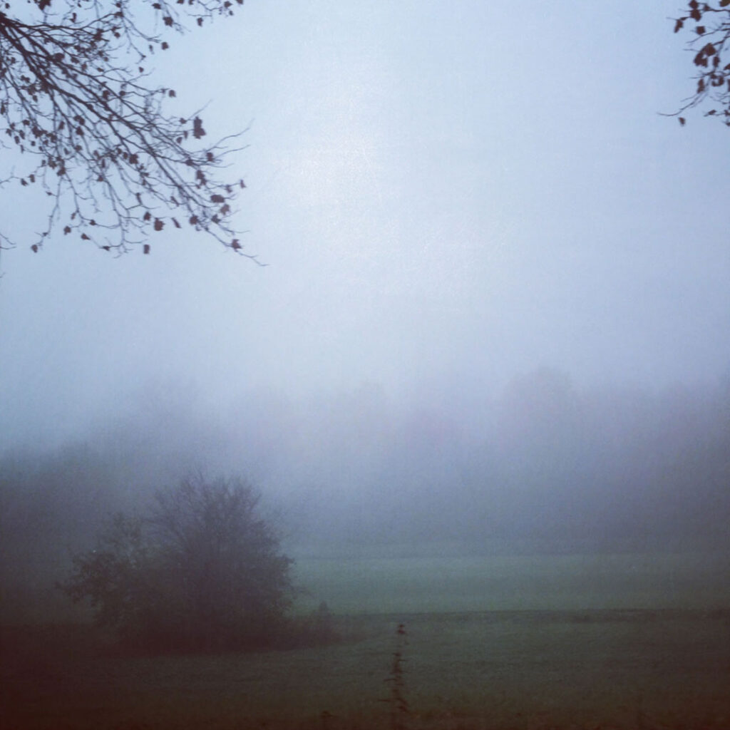 Landschaft mit Nebel